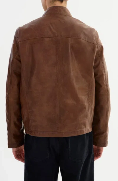 Regency Leather Jacket In Brown