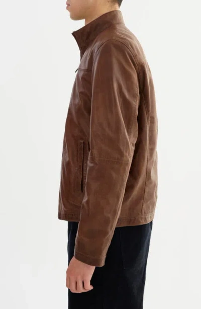 Regency Leather Jacket In Brown