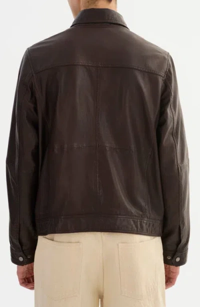 Regency Leather Jacket In Brown