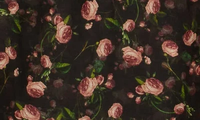 Alice And Olivia Julius Floral-print Cotton And Silk-blend Voile Top In Brown