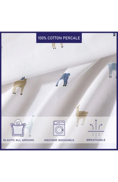 Poppy & Fritz Poppy And Fritz Llama Print 200 Thread Count Cotton Percale Sheet Set In Blue