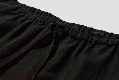 Comoli Drawstring Casual Pants In Brown