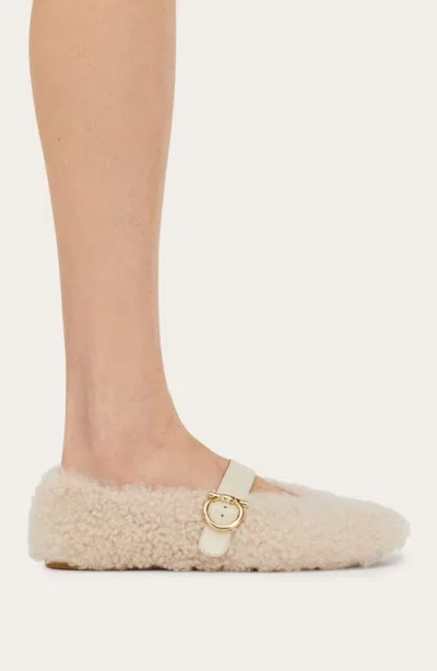 Ferragamo Gancio Genuine Shearling Ballet Flat In Neutral