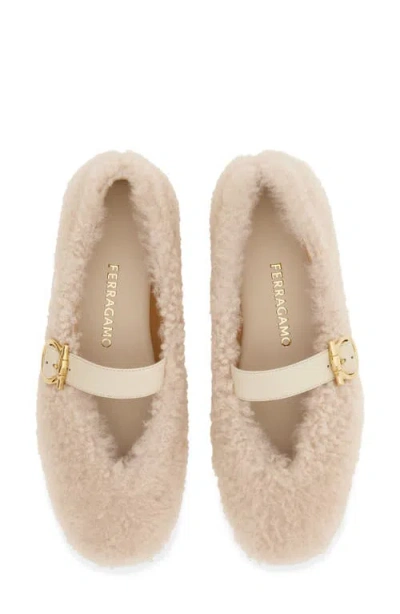 Ferragamo Gancio Genuine Shearling Ballet Flat In Neutral