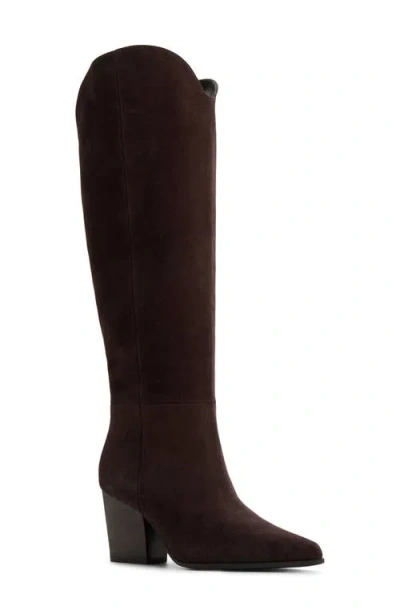 Aldo Women's Kaely Knee-high Tall Western Boots In Brown