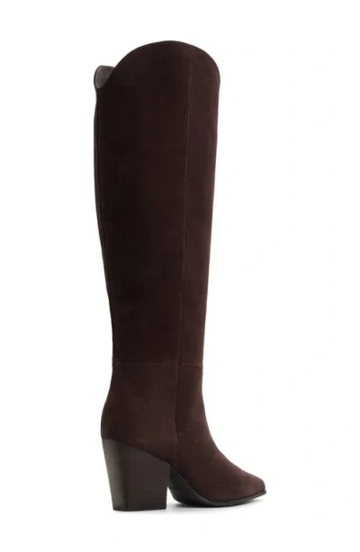 Aldo Women's Kaely Knee-high Tall Western Boots In Brown