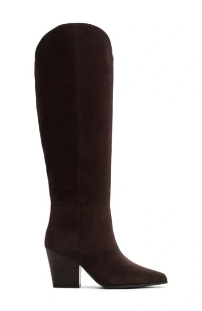 Aldo Women's Kaely Knee-high Tall Western Boots In Brown