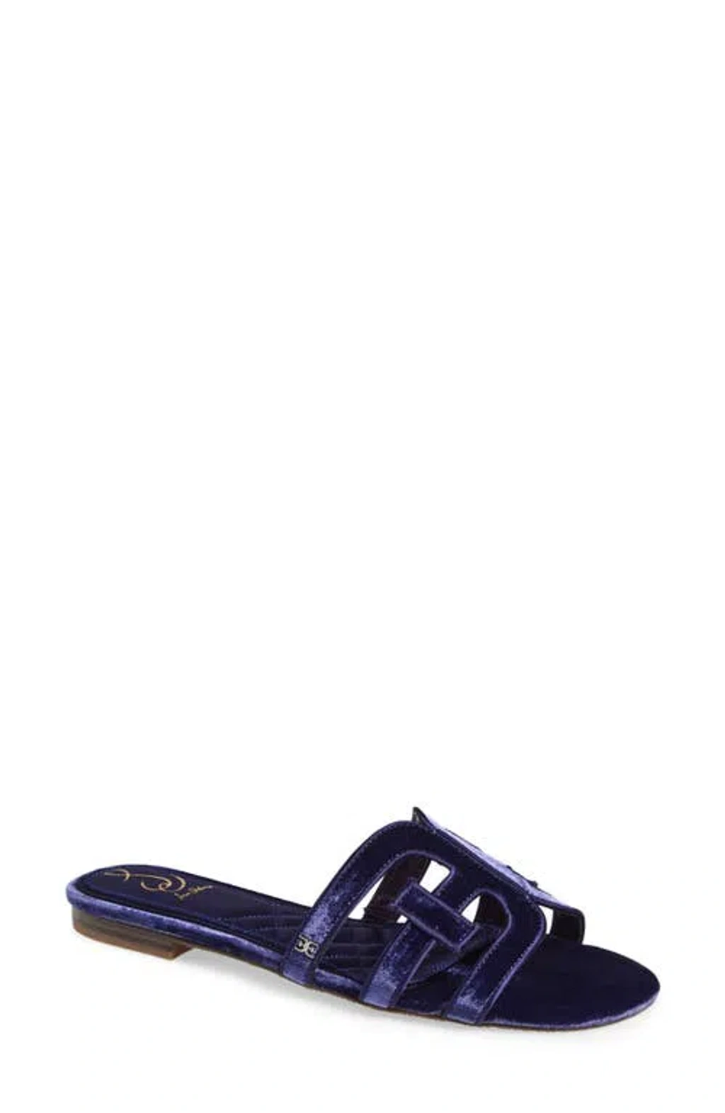 Sam Edelman Bay Honore Slide Sandal Dark Winter Violet Velvet In