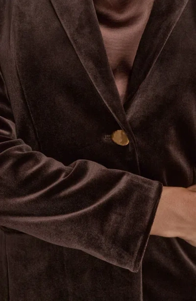 Donna Karan Women's Velvet One Button Jacket In Brown