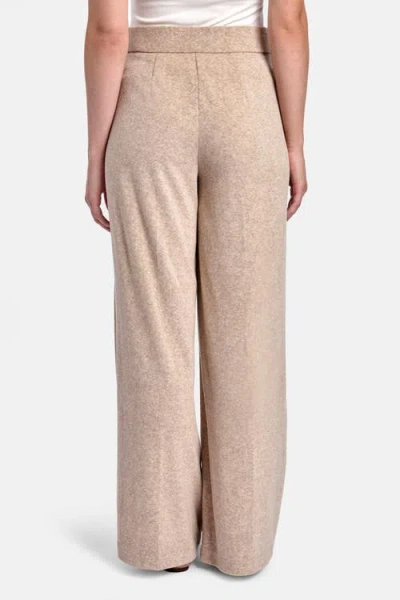 Capsule 146 The Illuminate Pant In Neutral