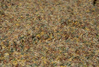 Cav Empt Long-sleeved Pullover In Green