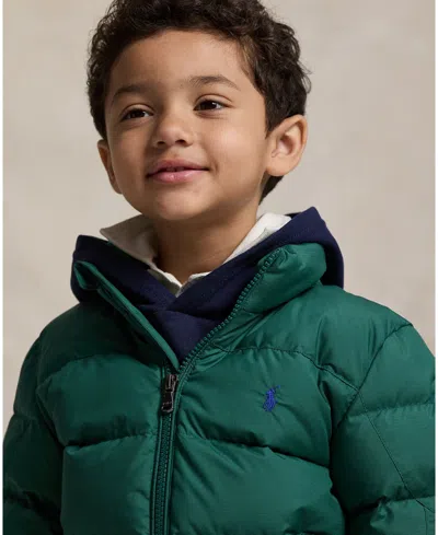 Polo Ralph Lauren Big Boys Ripstop Down Hooded Jacket In Green