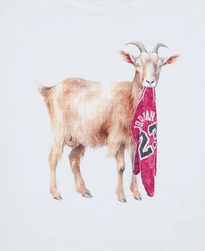 Jordan Boys' Mj Flt Goat Short Sleeved Crewneck Tee - Big Kid In Gray