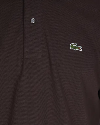 Lacoste Polo With Logo In Brown