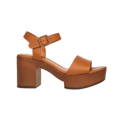 Coclico Women's Obion Clog Sandals In Brown In Brown