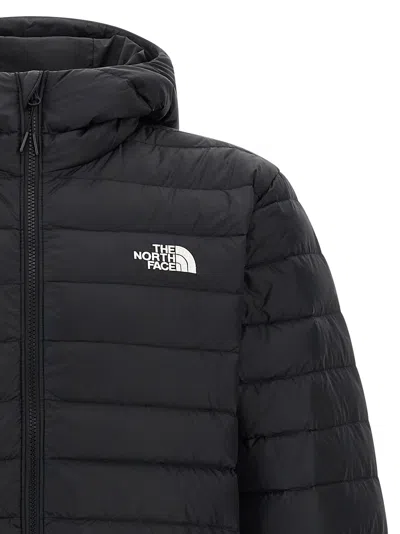 The North Face Aconagua Iii Lightweight Puffer Jacket In Black