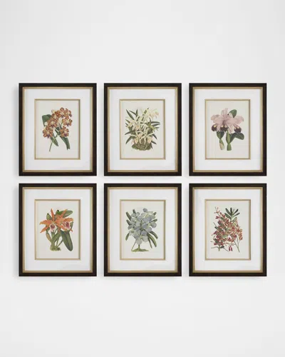 The Uttermost Co Orchid Framed Botanical Prints, Set Of 6 In Multi