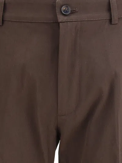 Burberry Men Cotton Chino Pants In Brown