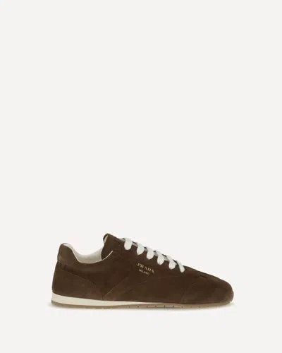 Prada Cocoa-coloured Sneakers In Suede Leather In Brown