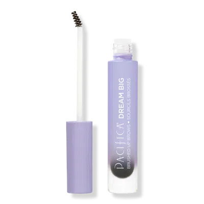 Pacifica Dream Big Brushed Up Brows - Dark Medium