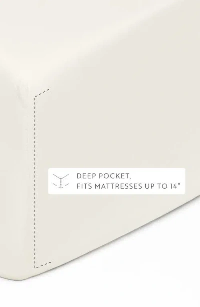 Homespun Solid Cotton Percale Sheet Set In White