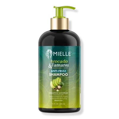 Mielle Avocado & Tamanu Anti-frizz Shampoo