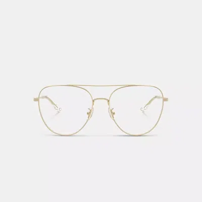 Coach Woman Sunglass Hc7182 Cbz89 In Gold