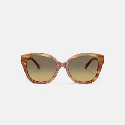 Coach Woman Sunglass Hc8438u Cby94 In Brown