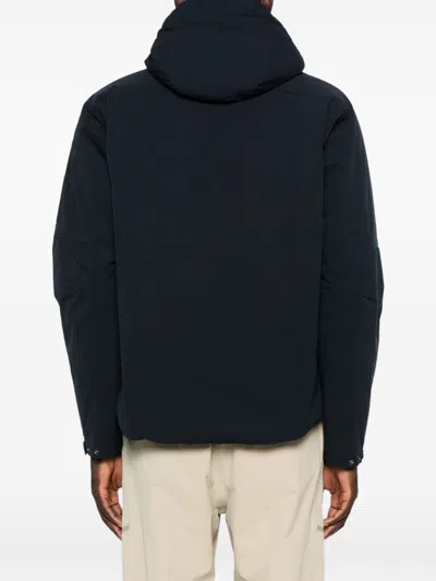 C.p. Company Pro-teck Hooded Padded Jacket In Animal Print