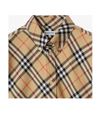 Burberry Button-down Collar Checked Pattern Shirt In Brown