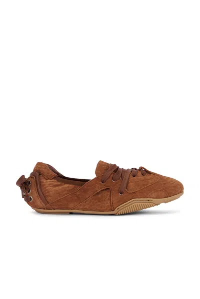Acne Studios Lace-up Shoes In Brown