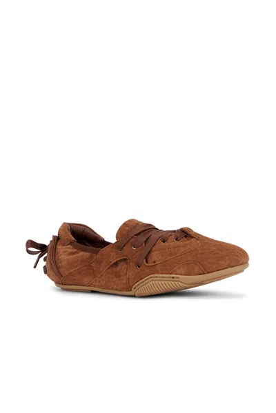 Acne Studios Lace-up Shoes In Brown