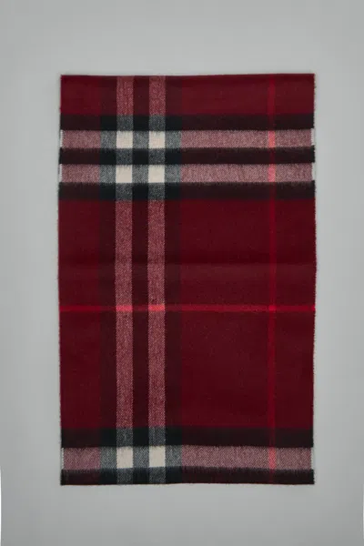 Burberry Check Patterned Cashmere Scarf Fringed Edges In Purple