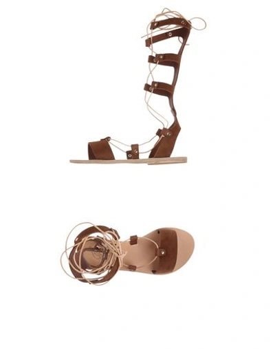 Shop Ancient Greek Sandals Sandals In Camel