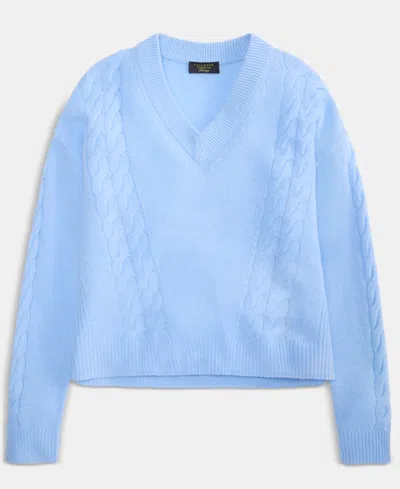 Charter Club Petite Cashmere Angled Cable V-neck Sweater, Macy's Exclusive In Blue