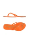 SAM EDELMAN Flip flops,11089929CE 8