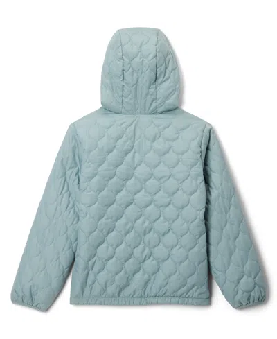 Columbia Girls 7-20 Bella Plush Ii Fleece-lined Full-zip Hooded Jacket In Gray