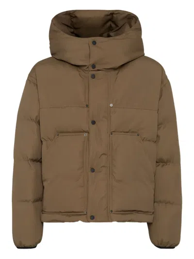 Dsquared2 Icon New Generation Utility Hooded Puffer Jacket In Brown