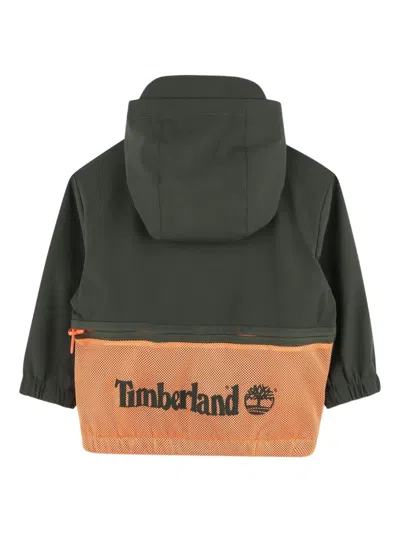Timberland Hooded Mesh-panel Windbreaker In Green