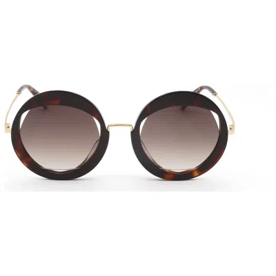 Escada Women's 53mm Brown Sunglasses In Brown