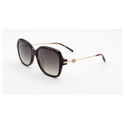 Escada Women's 57mm Grey Sunglasses In Brown