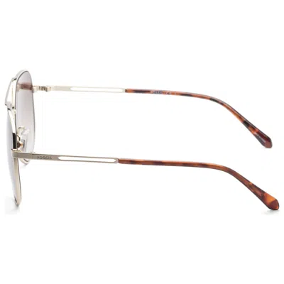 Fossil Women's Sunglasses In Brown