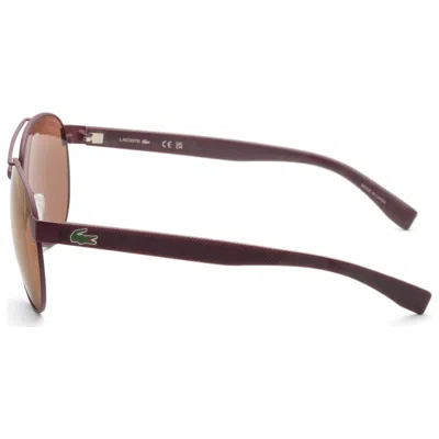 Lacoste Unisex L185s 60mm Sunglasses In Brown
