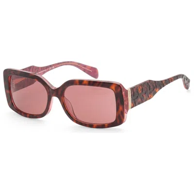 Michael Kors Women's Sunglasses In Brown