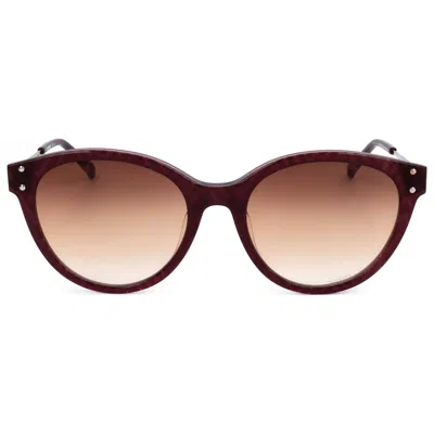 Missoni Women's 53 Mm Brown Sunglasses In Black