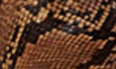 Azalea Wang Tarrant Pointed Toe Thigh High Boot In Brown