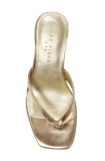 Marc Fisher Ltd Amele Metallic Kitten Thong Slide Sandals In Gold