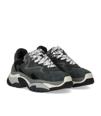 Ash Addict Sneakers In Grey Suede And Fabric In Animal Print