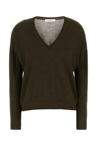 Co Cashmere V Neck Sweater In Green