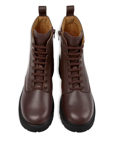 Camper Milah In Multi